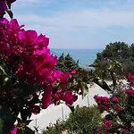 Lejlighed Bouganville Stegna