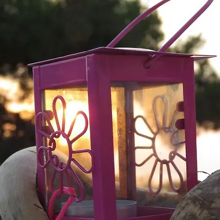 Bouganville Stegna Archangelos (Rhodes)