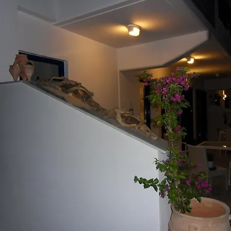 Bouganville Stegna Lejlighed