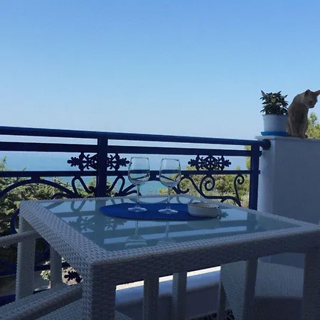 Bouganville Stegna *