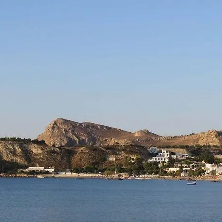 Bouganville Stegna *