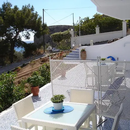 Bouganville Stegna *