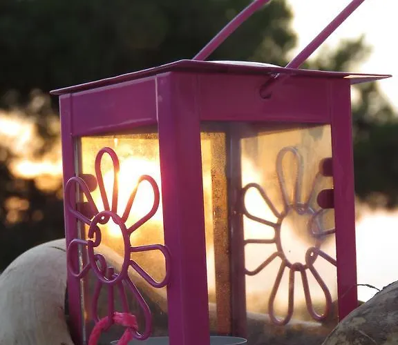 Bouganville Stegna أرخانجلوس