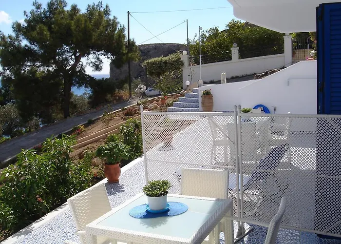 Bouganville Stegna *