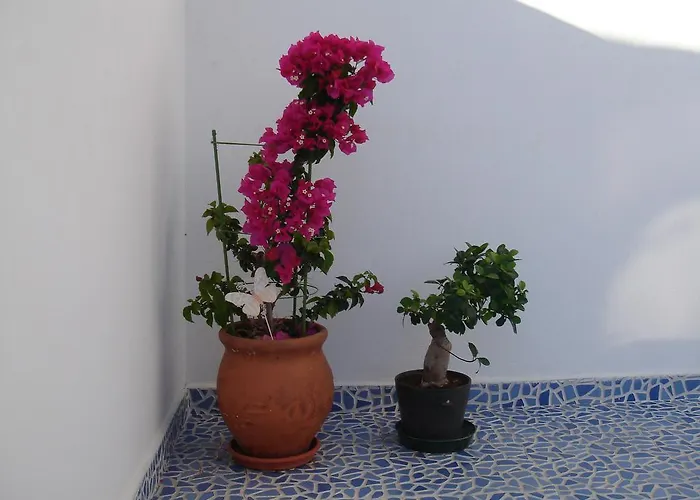 شقة Bouganville Stegna *