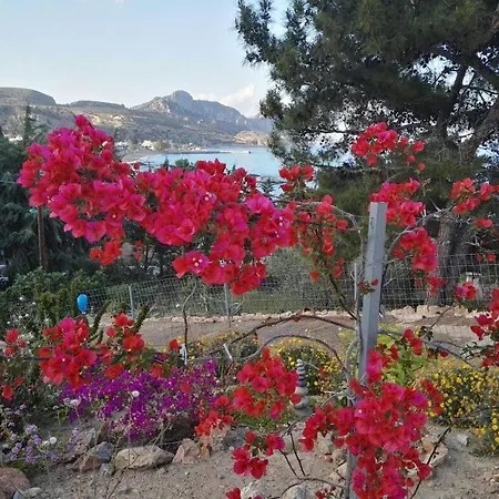 Apartamento Bouganville Stegna Archangelos (Rhodes)