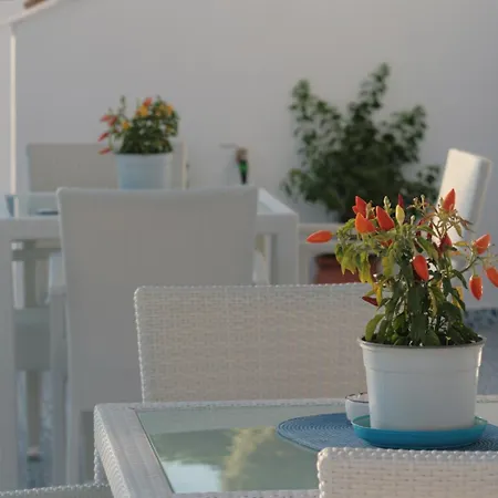 Bouganville Stegna *