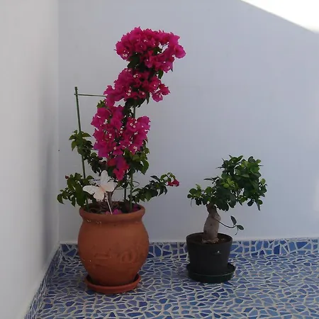 Apartamento Bouganville Stegna *