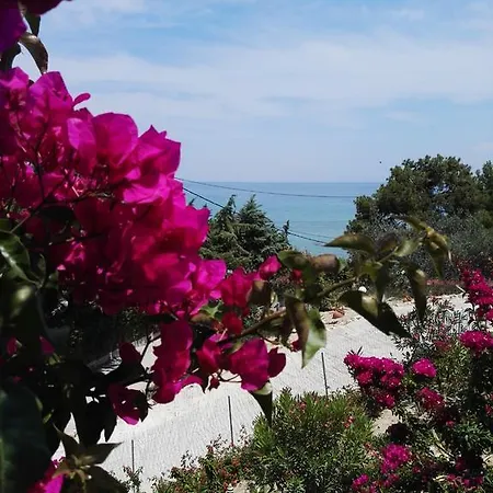 Apartamento Bouganville Stegna