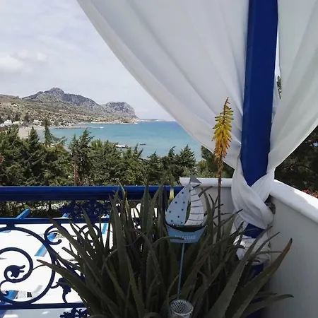 Bouganville Stegna *