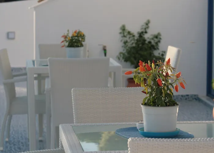 Bouganville Stegna *