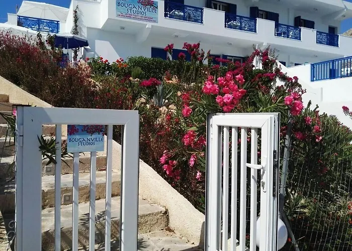 Bouganville Stegna
